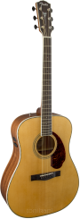 Fender PM-1 + Case